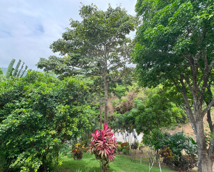 Ecohotel Yachay Tayrona