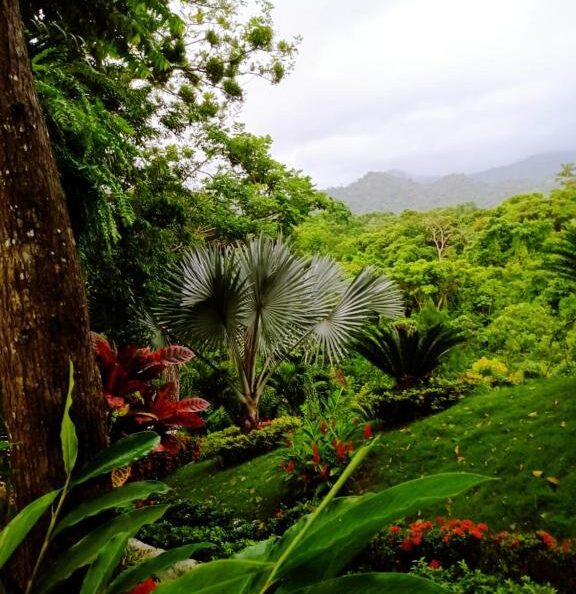 Ecohotel Yachay Tayrona