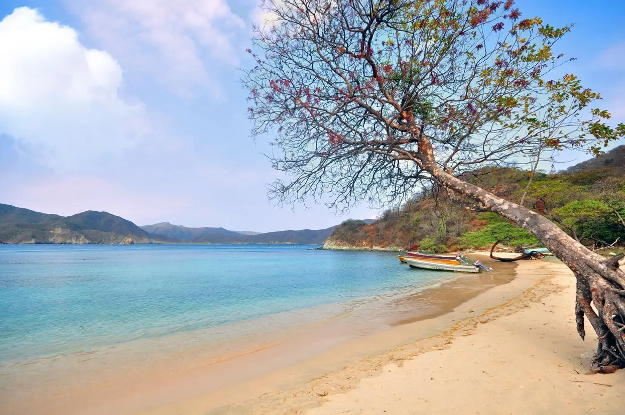 Bahía Chengue