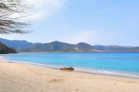 Neguanje