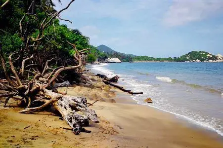 Playa Arrecife