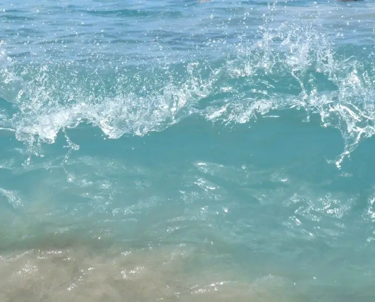 Playa Palmarito