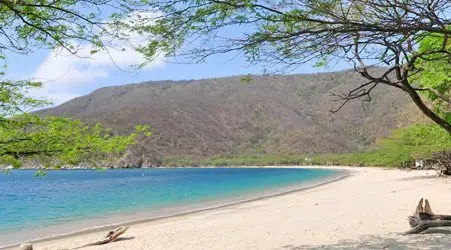 Bahia Concha