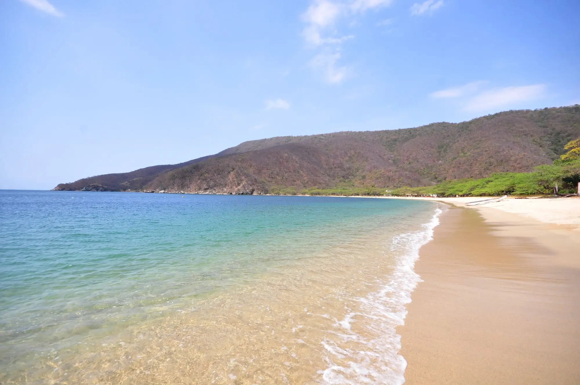 Bahia Concha.