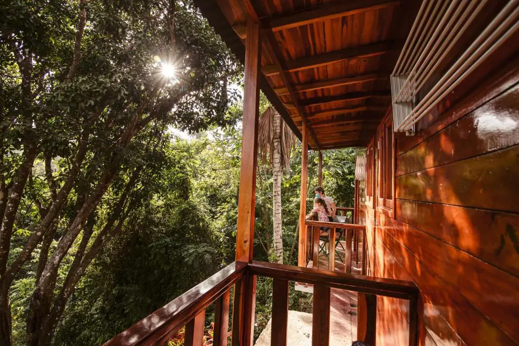 arboles ecohotel yachay tayrona