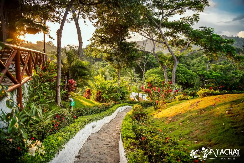camino ecohotel yachay tayrona