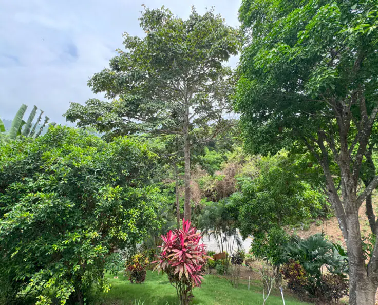 Ecohotel Yachay Tayrona