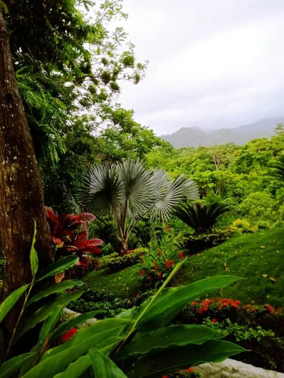 flora ecohotel yachay tayrona