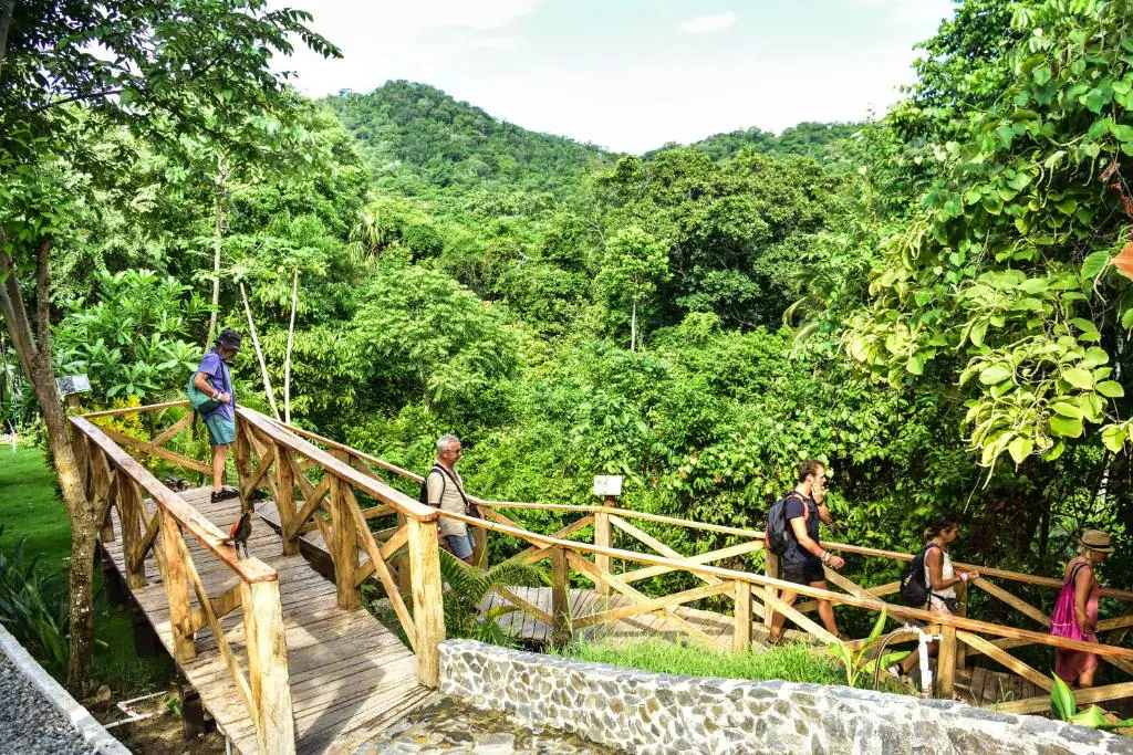 sendero ecohotel yachay tayrona